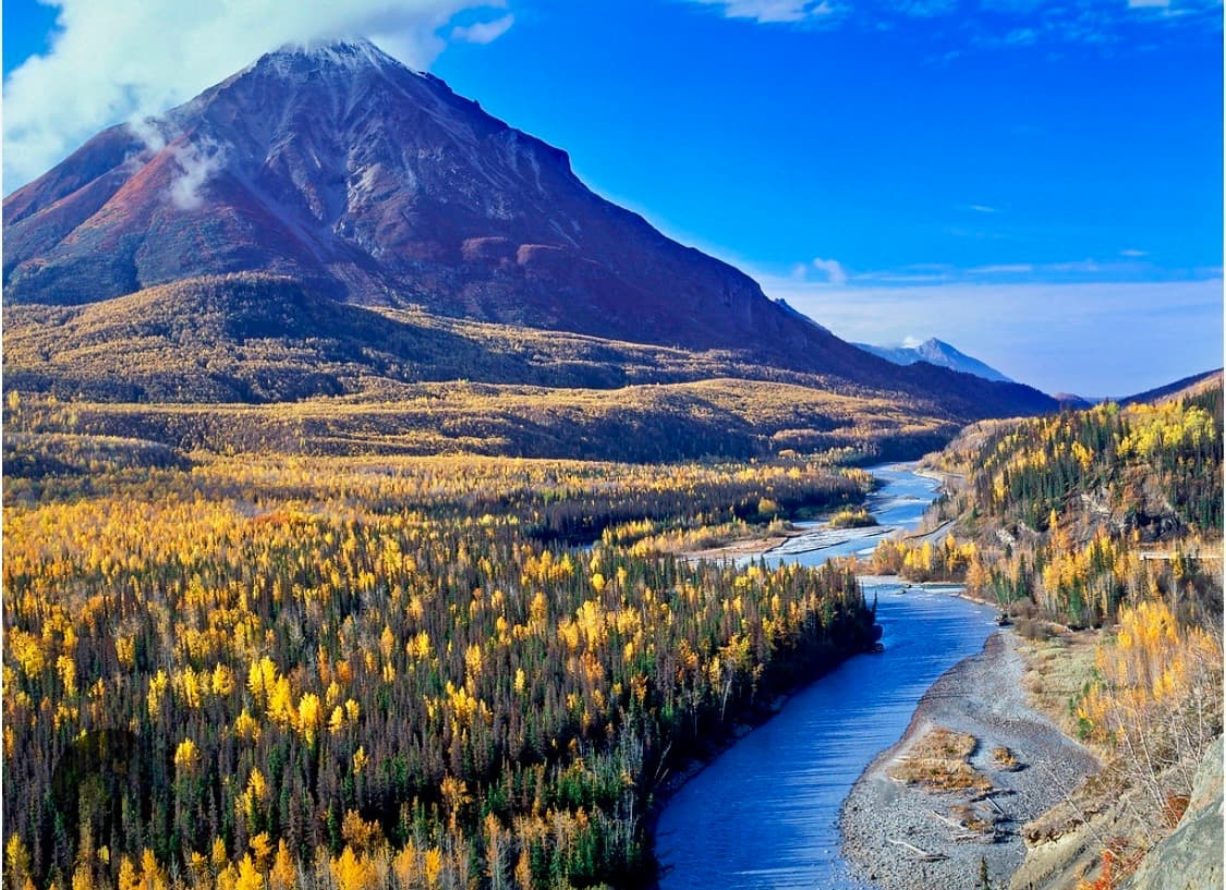 Winding blue river flows through a golden autumn forest beneath a majestic snow-capped mountain.